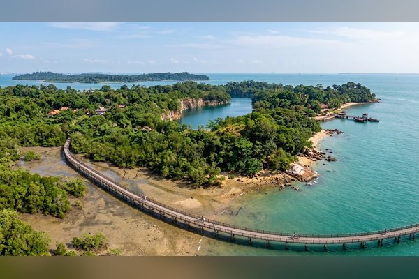 Pulau Ubin & Chek Jawa
