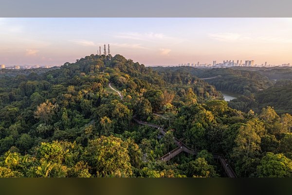 Bukit Timah Hill