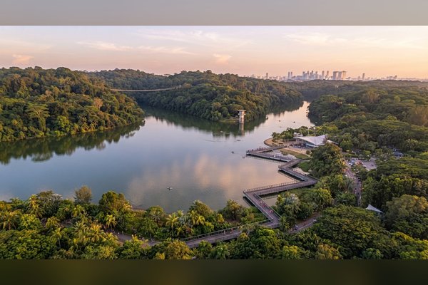 MacRitchie Reservoir